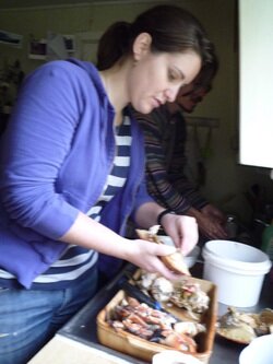 Picture of woman prepping a casserole dish